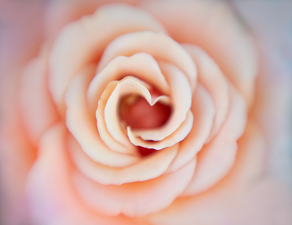 The Heart Within