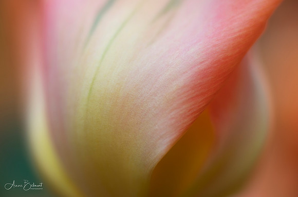Whispers