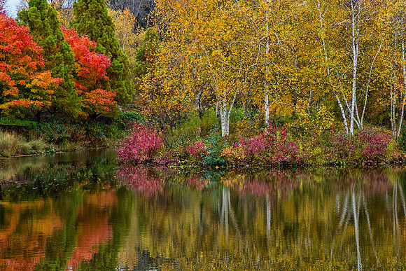 Spider Island in Fall