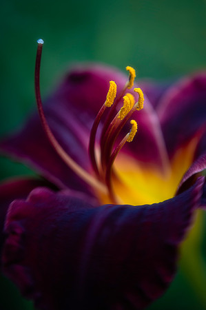 Reaching for the Sun