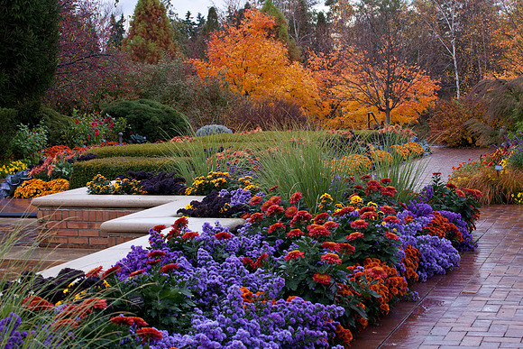 Circle Garden in Fall