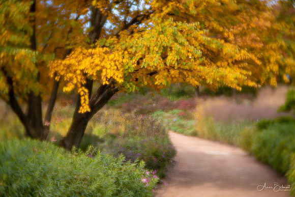 Garden Path in Fall