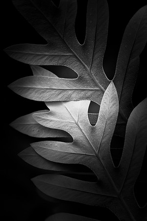 Intertwined