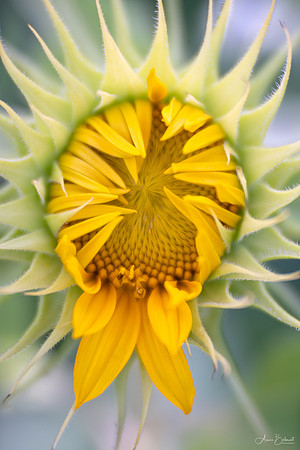 Stretching to Open
