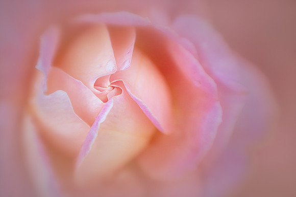 Unfolding