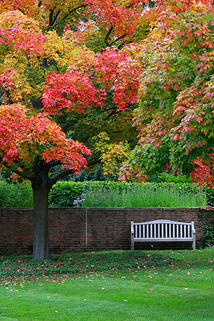 Autumn Garden Scene