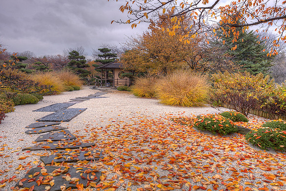 Japanese Garden in Fall