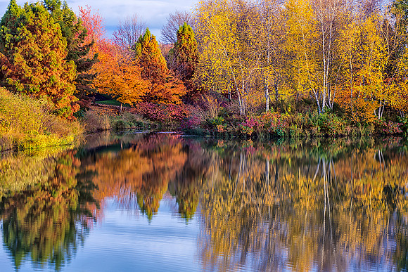 Spider Island in Fall