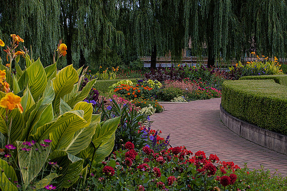Crescent Garden in Summer