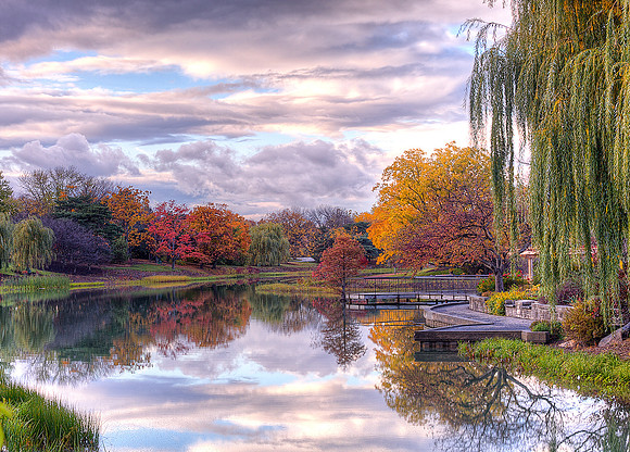 Aquatic Bulb Garden in Fall
