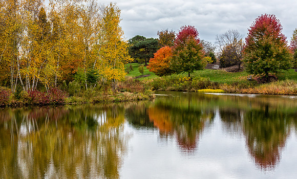 Color of Fall