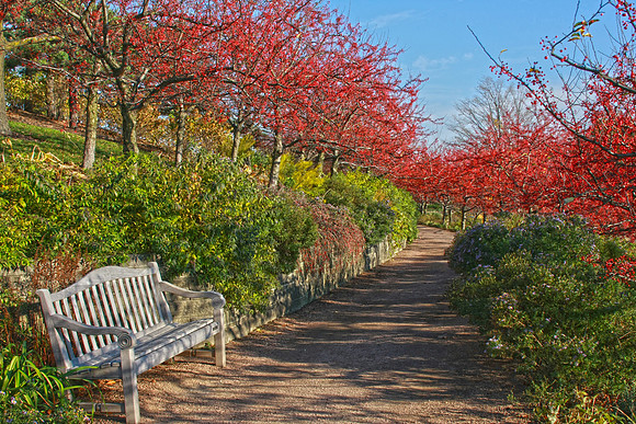 Garden Path in Fall