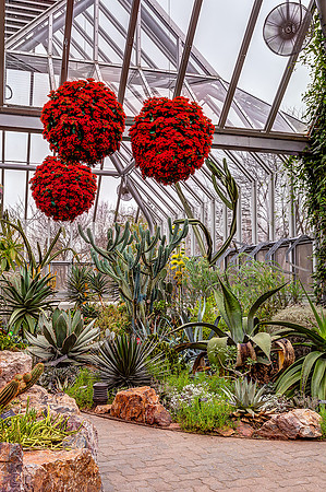 Holiday Display in Arid Greenhouse