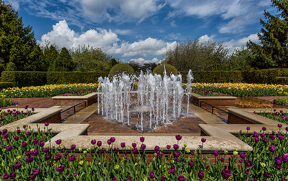 Circle Garden in Spring
