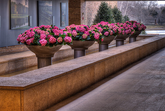 Almost Spring
