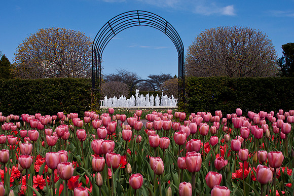 Circle Garden in Spring
