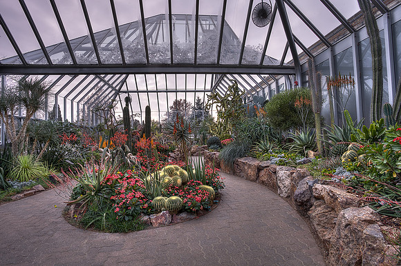 Arid Greenhouse in Bloom