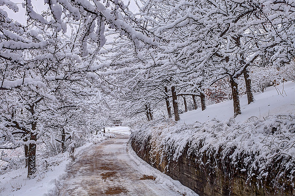 Winter Path