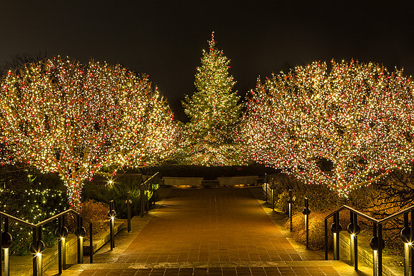 Holiday Lights in the Heritage Garden
