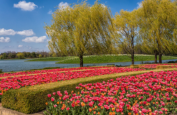 Crescent Garden in Spring
