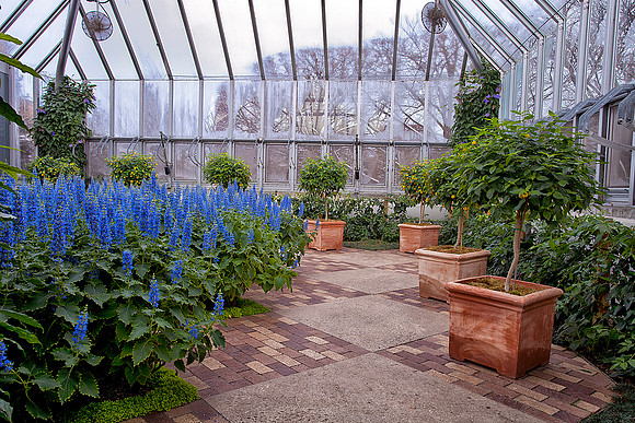 Semi-Tropical Greenhouse