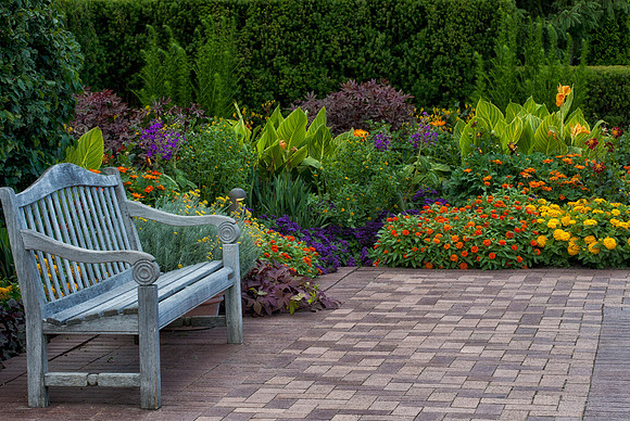 Circle Garden in Summer