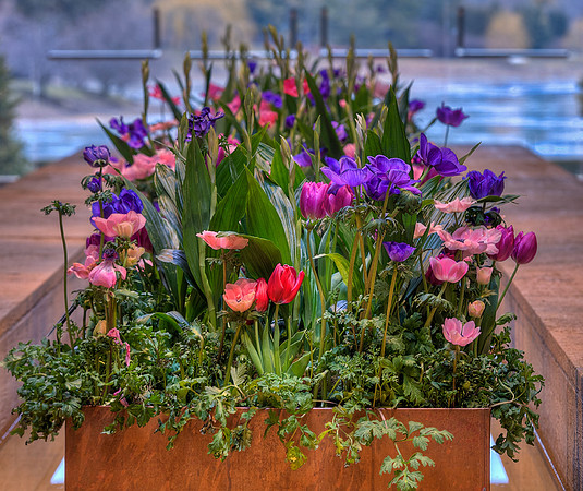 Waiting for Spring