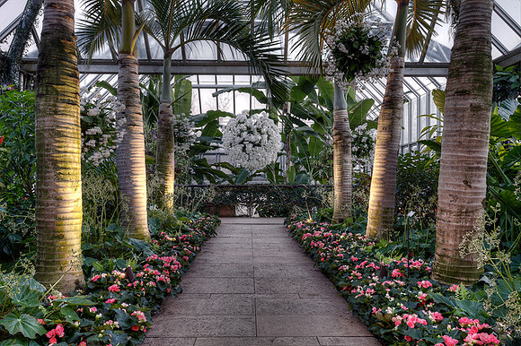 Tropical Greenhouse