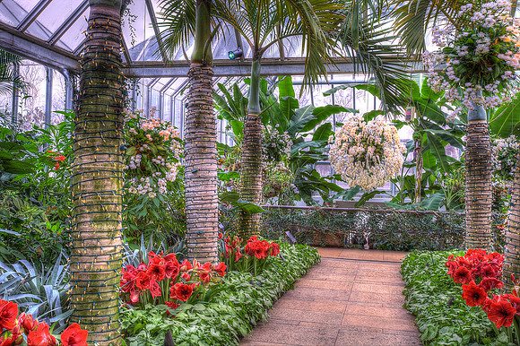 Tropical Greenhouse During Holidays