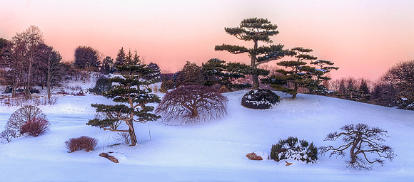 Winter Sunrise in the Japanese Garden