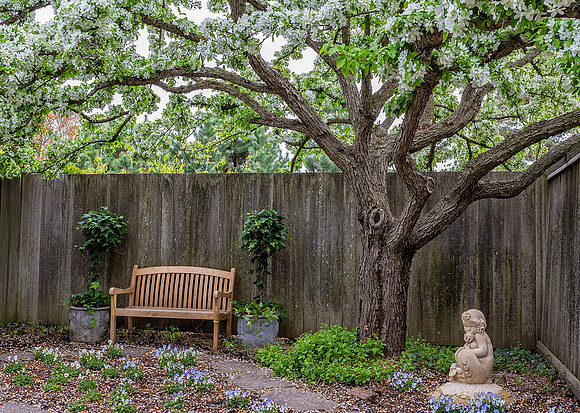 Quiet Place in the Garden
