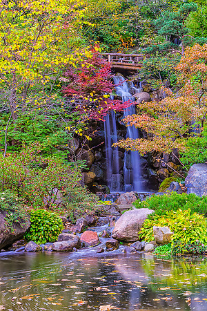 Anderson Japanese Garden, Rockford