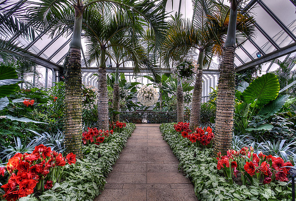 Tropical Greenhouse During Holidays