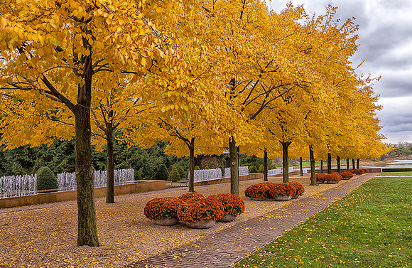 Esplanade in Fall