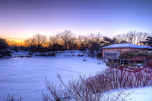 Winter Sunrise in the Japanese Garden