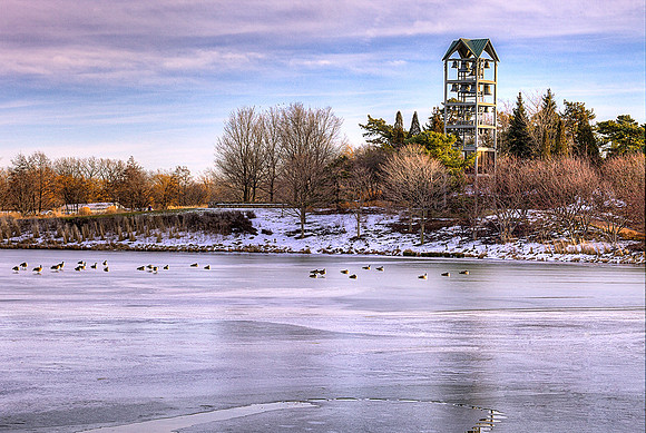 Evening Island in Winter