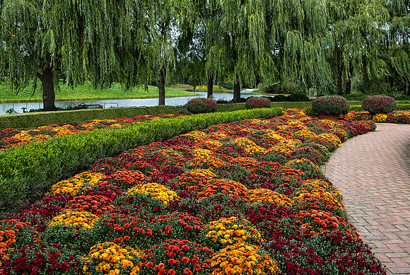 Fall in the Crescent Garden
