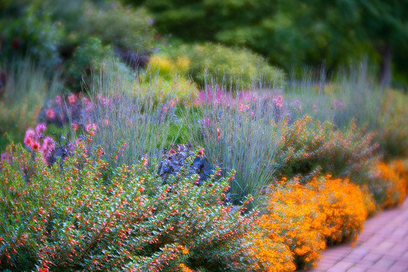 Summer in the Circle Garden