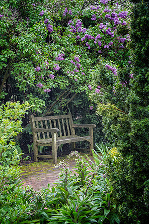 English Walled Garden Bench