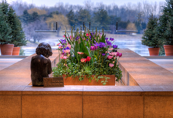 A Touch of Spring in Winter