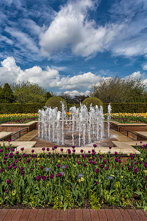 Circle Garden in Spring